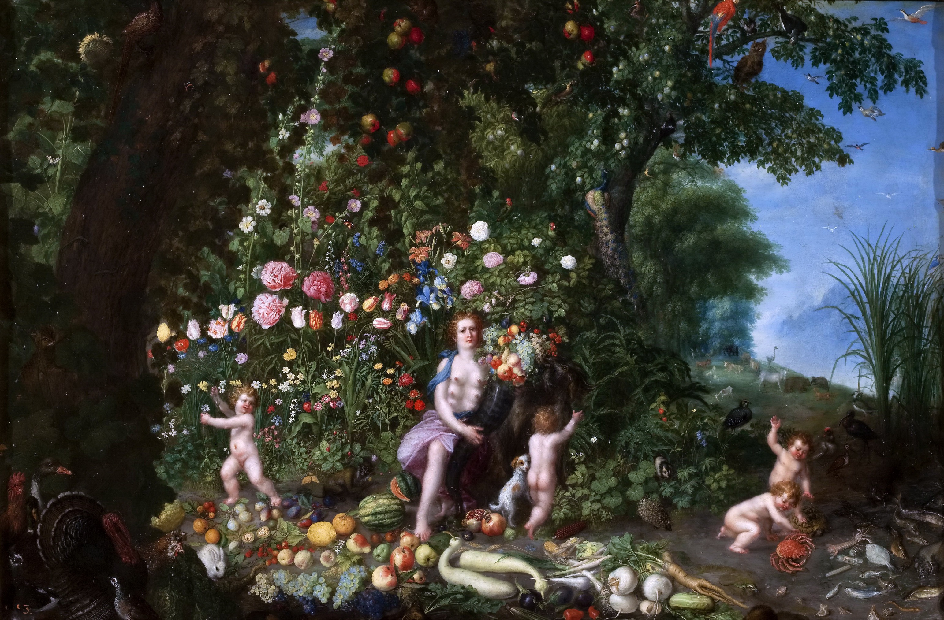 Abundance